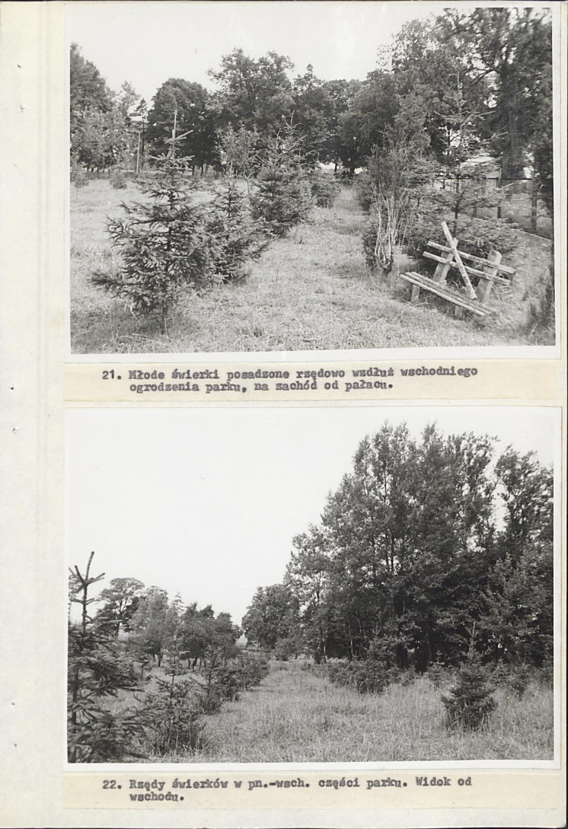 Ewidencja parkowa, skan nr 49