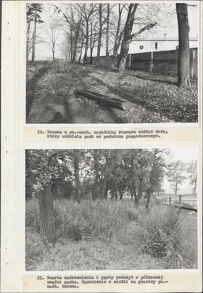 Ewidencja parkowa, skan nr 51