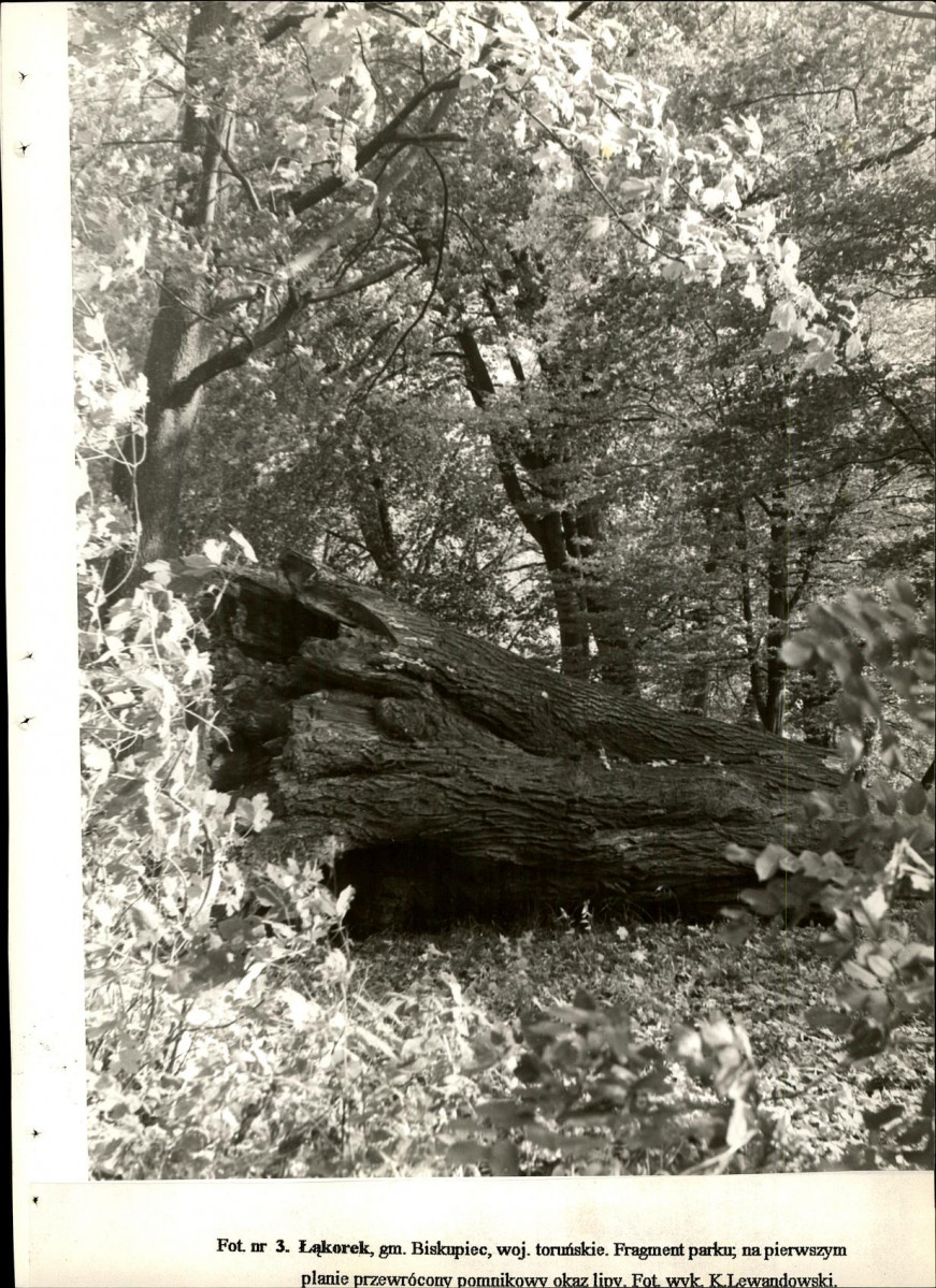 Ewidencja parkowa, skan nr 35