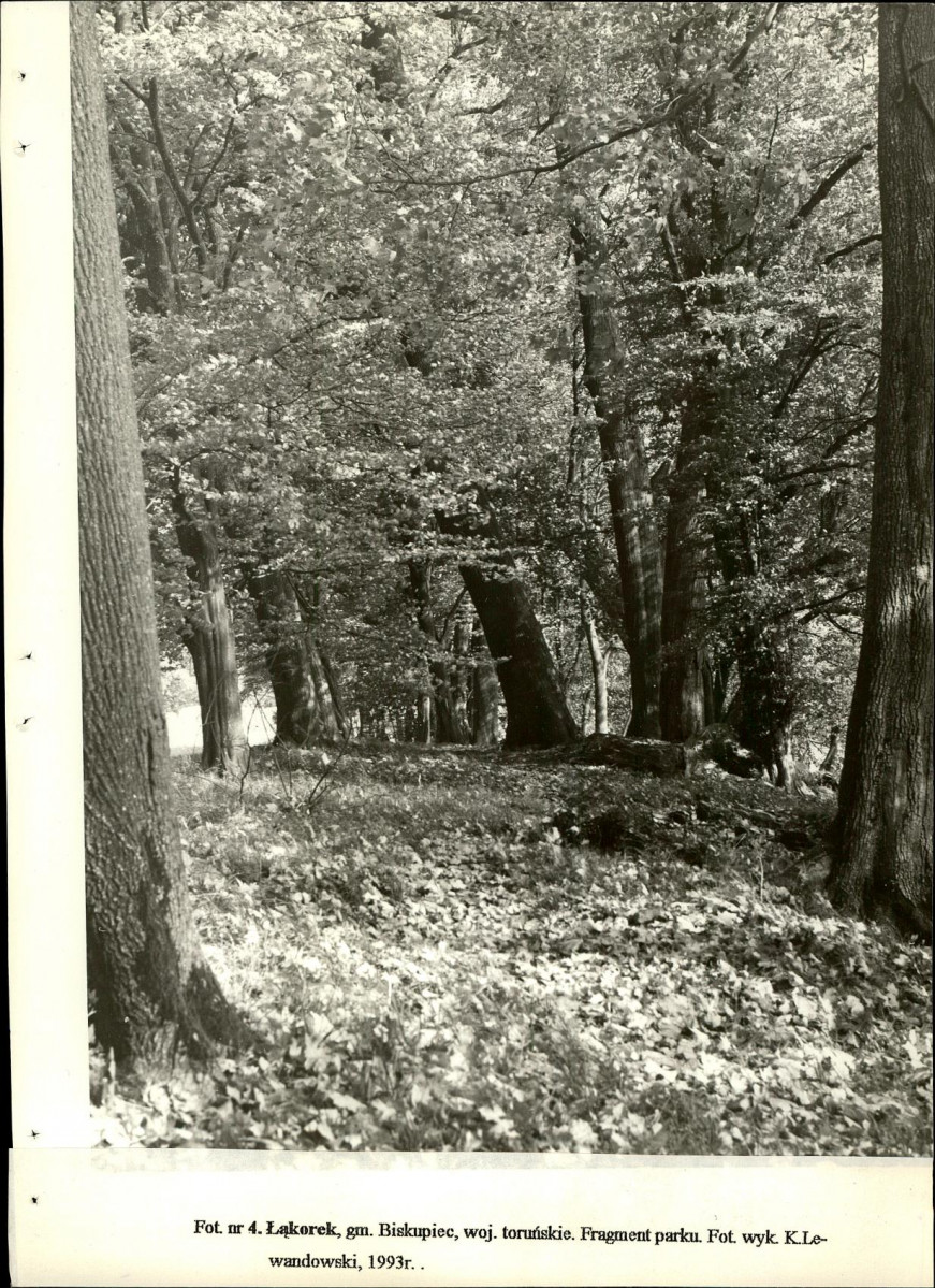 Ewidencja parkowa, skan nr 36