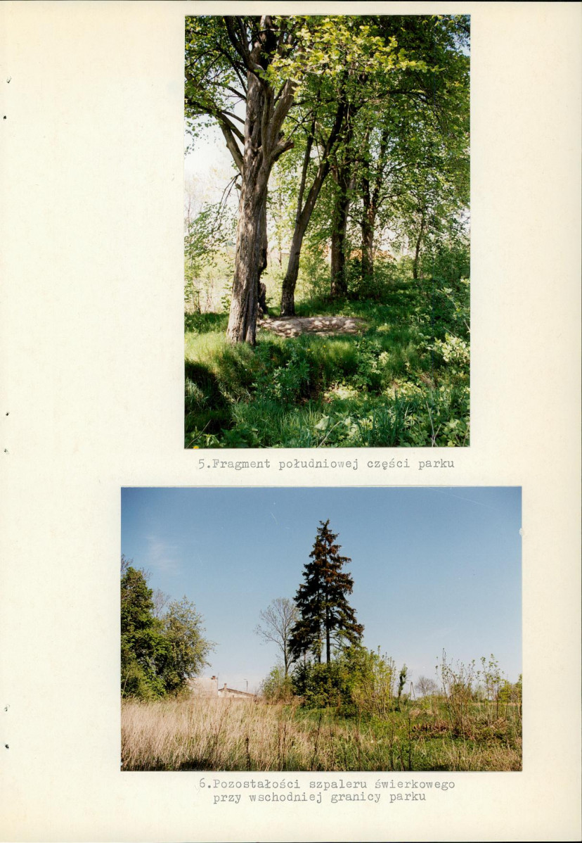 Ewidencja parkowa, skan nr 31