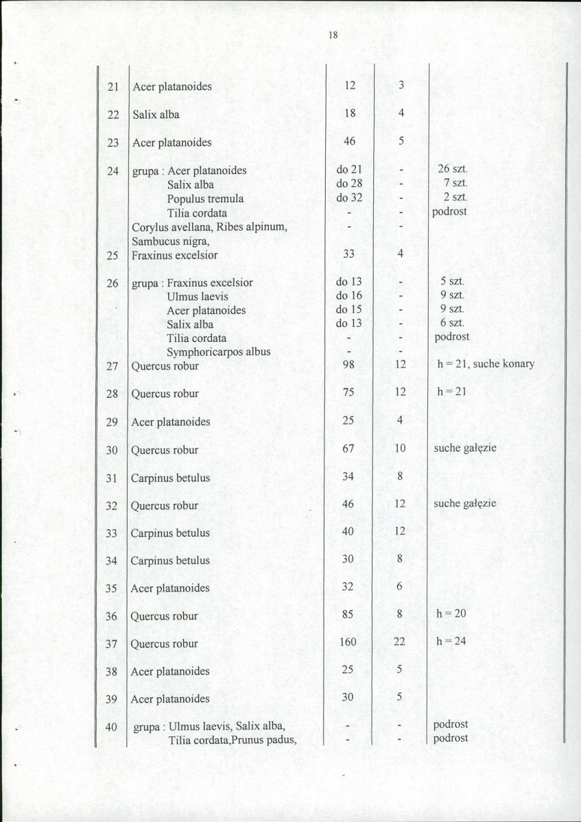 Ewidencja parkowa, skan nr 23
