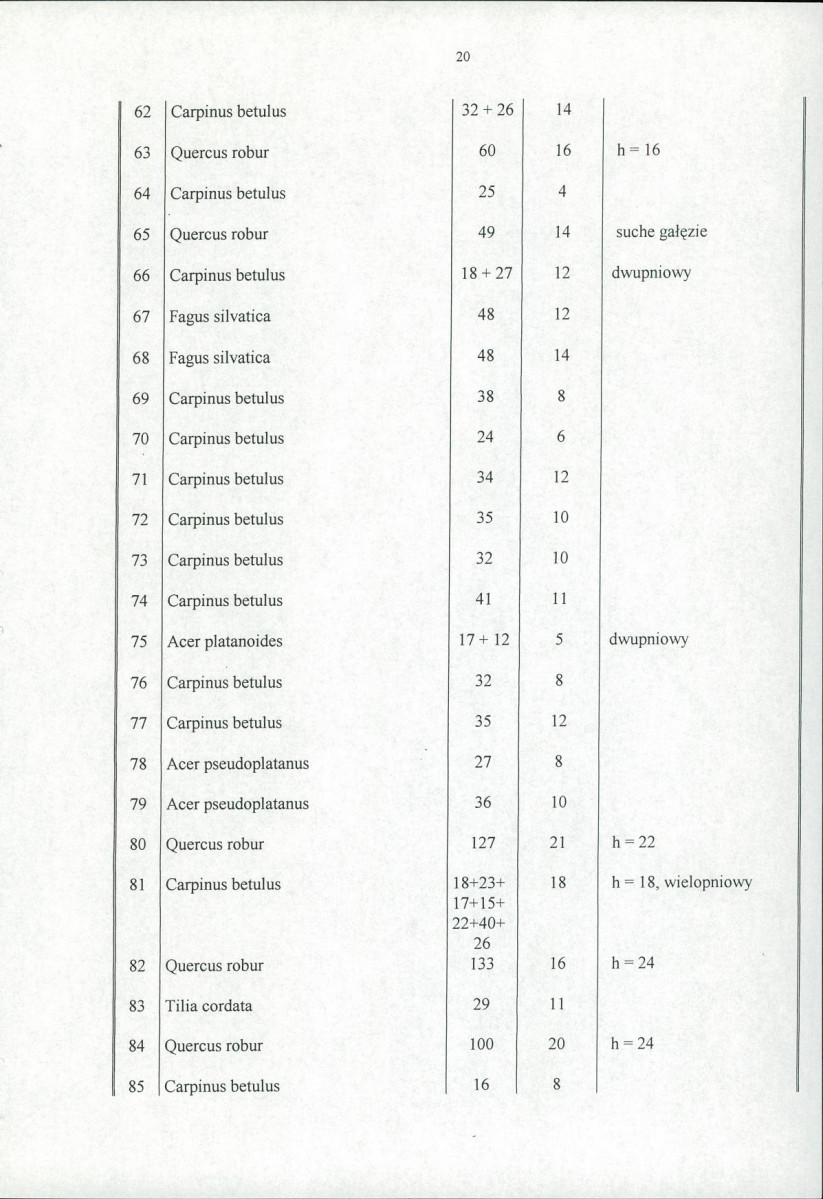 Ewidencja parkowa, skan nr 25