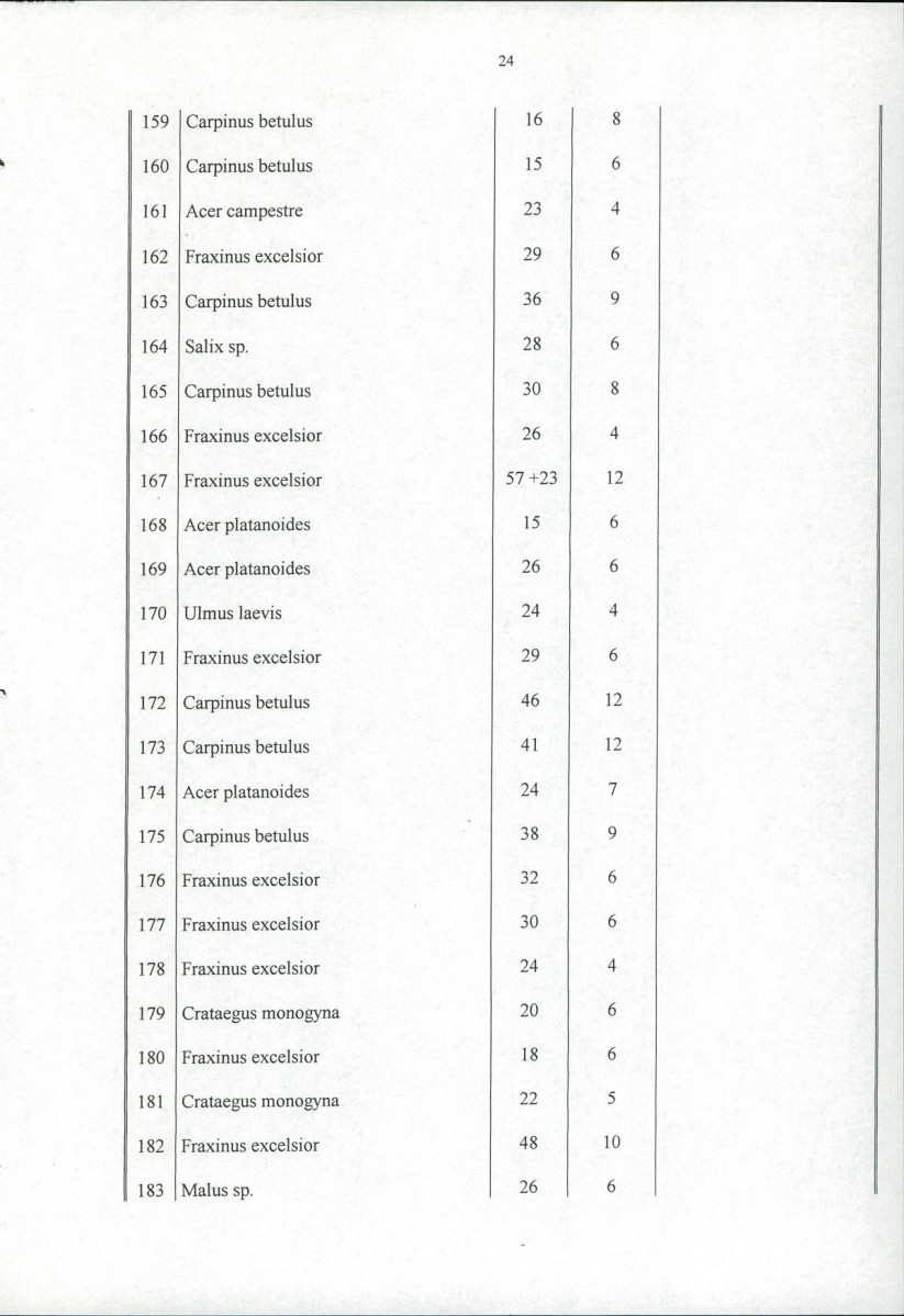 Ewidencja parkowa, skan nr 29