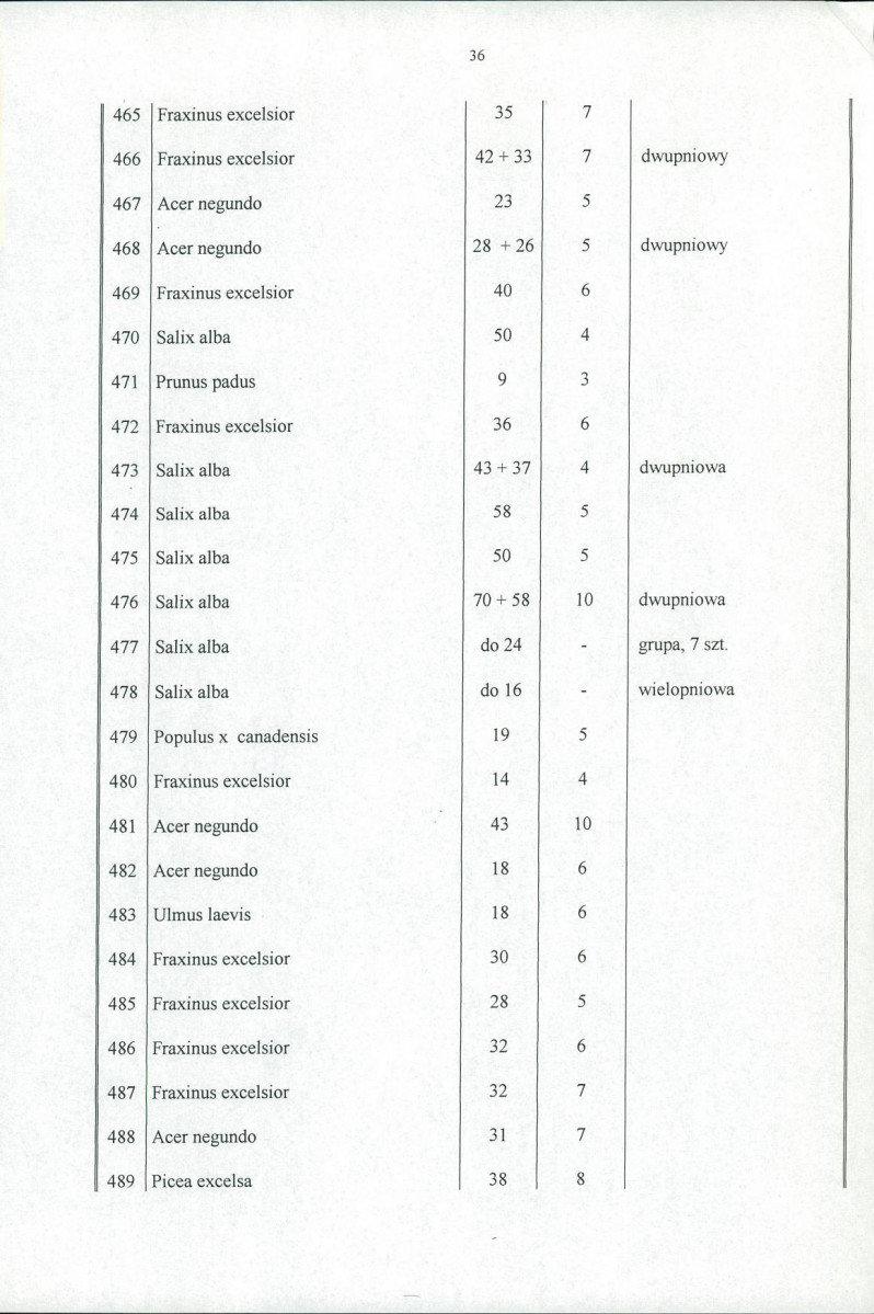 Ewidencja parkowa, skan nr 41