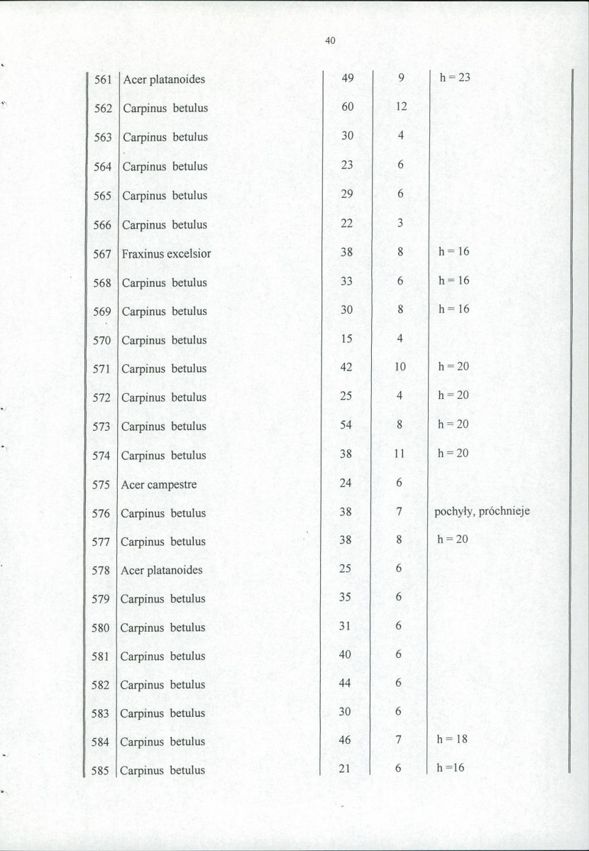 Ewidencja parkowa, skan nr 45
