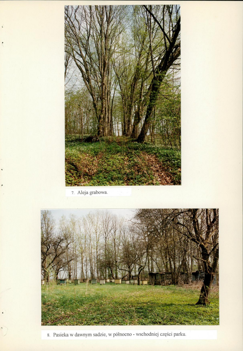 Ewidencja parkowa, skan nr 64