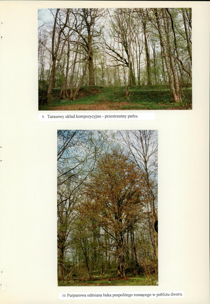 Ewidencja parkowa, skan nr 65