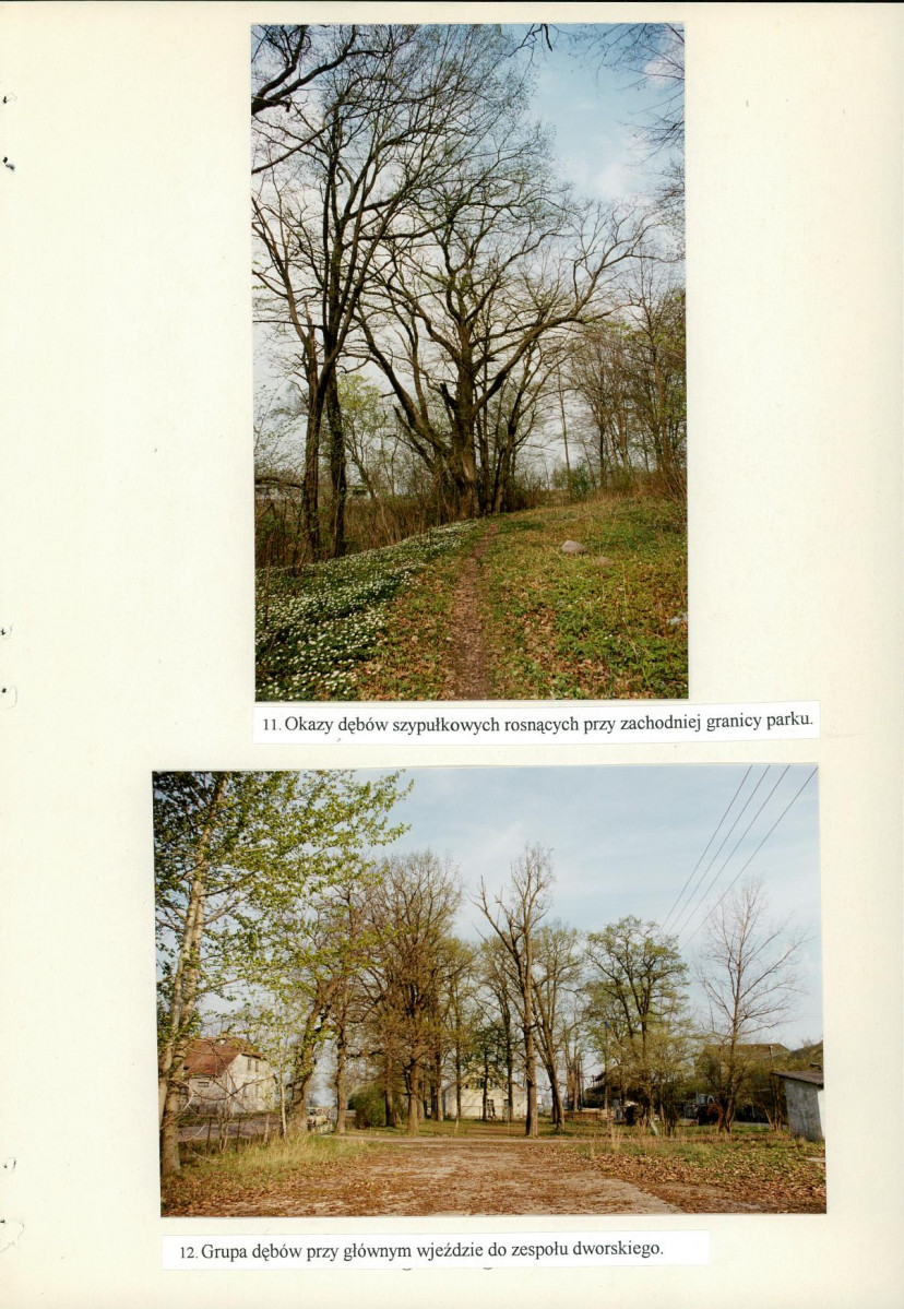 Ewidencja parkowa, skan nr 66