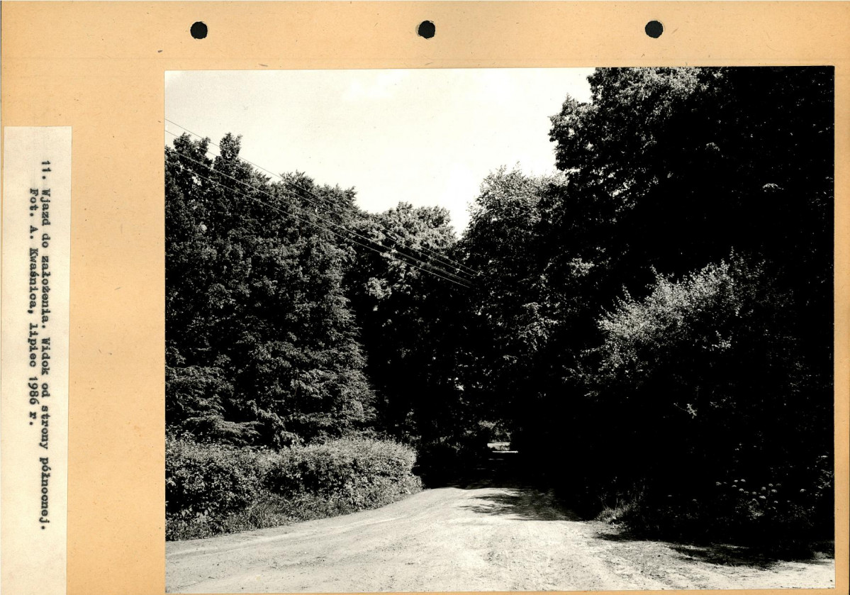 Ewidencja parkowa, skan nr 42