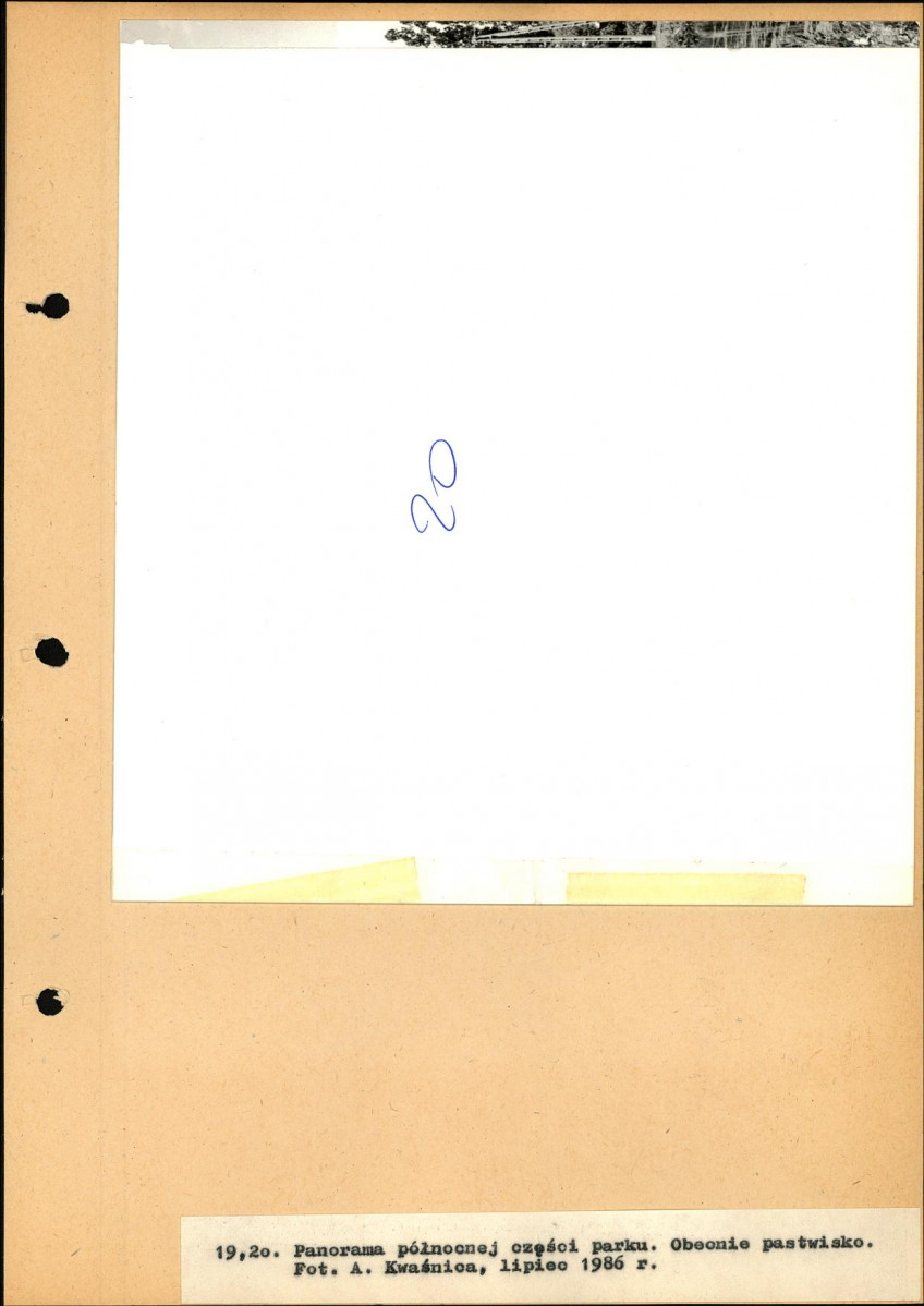 Ewidencja parkowa, skan nr 50
