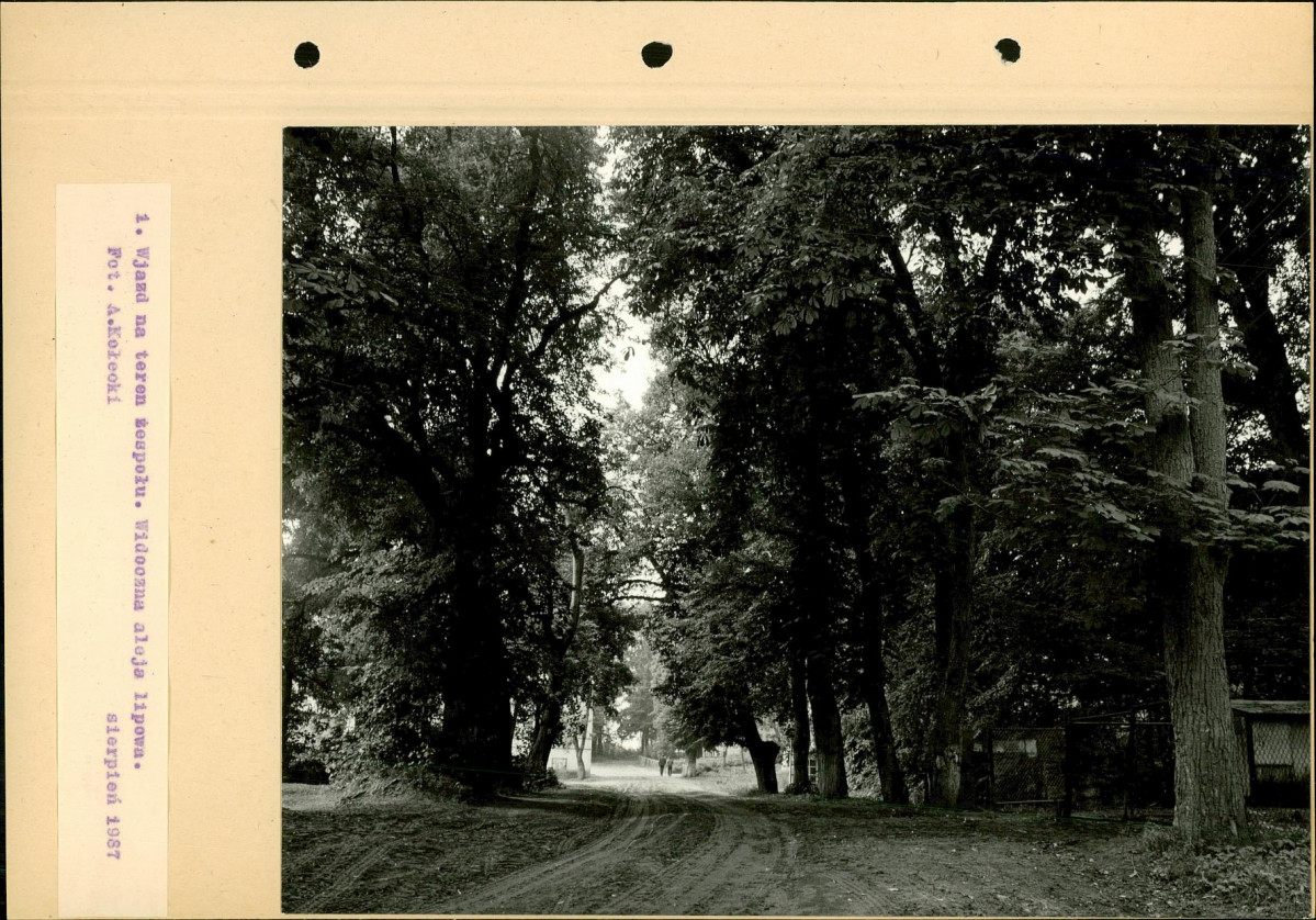 Ewidencja parkowa, skan nr 28