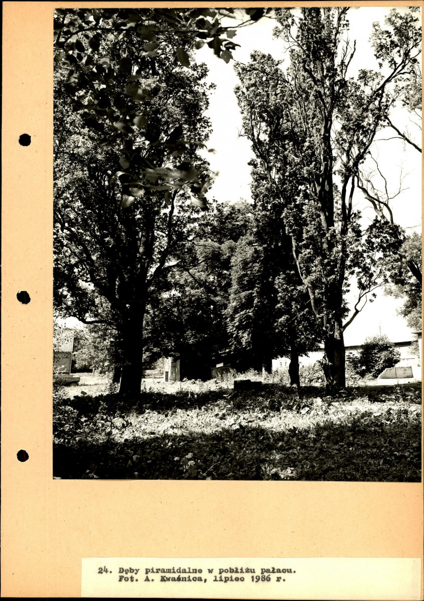 Ewidencja parkowa, skan nr 55