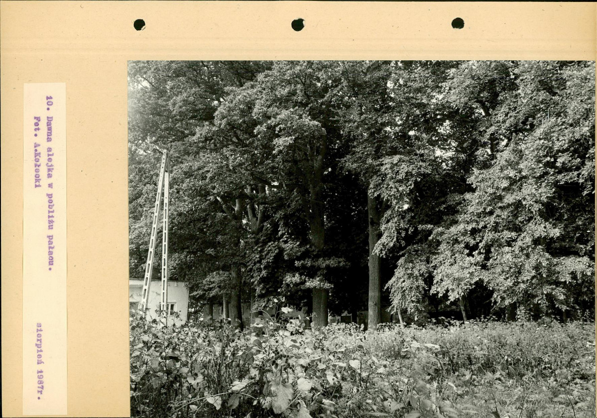 Ewidencja parkowa, skan nr 37