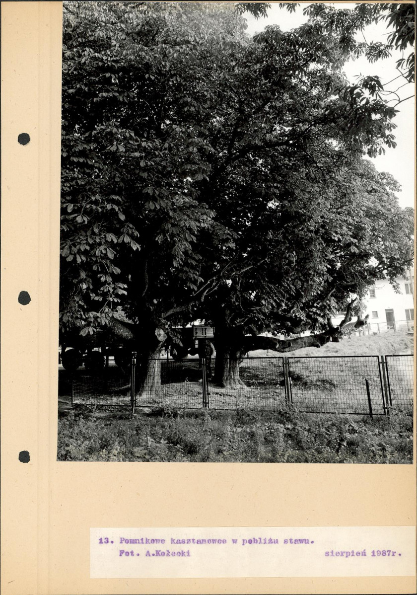 Ewidencja parkowa, skan nr 40