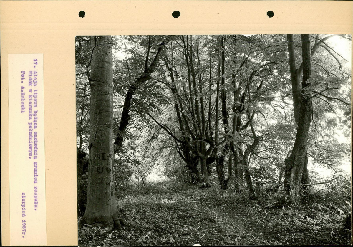 Ewidencja parkowa, skan nr 44