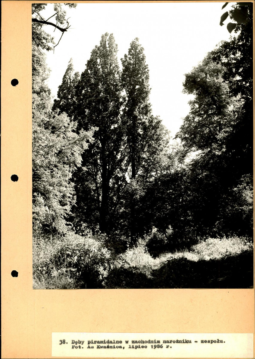 Ewidencja parkowa, skan nr 69