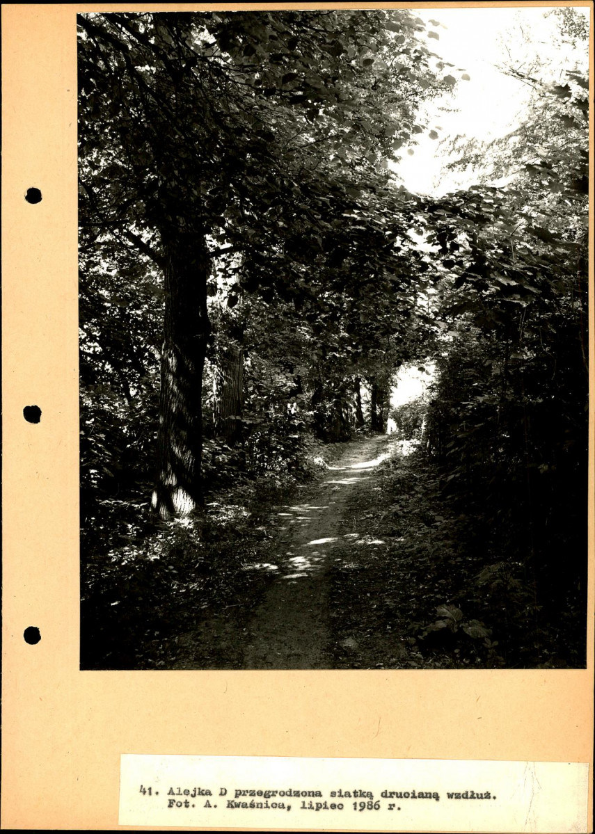 Ewidencja parkowa, skan nr 72