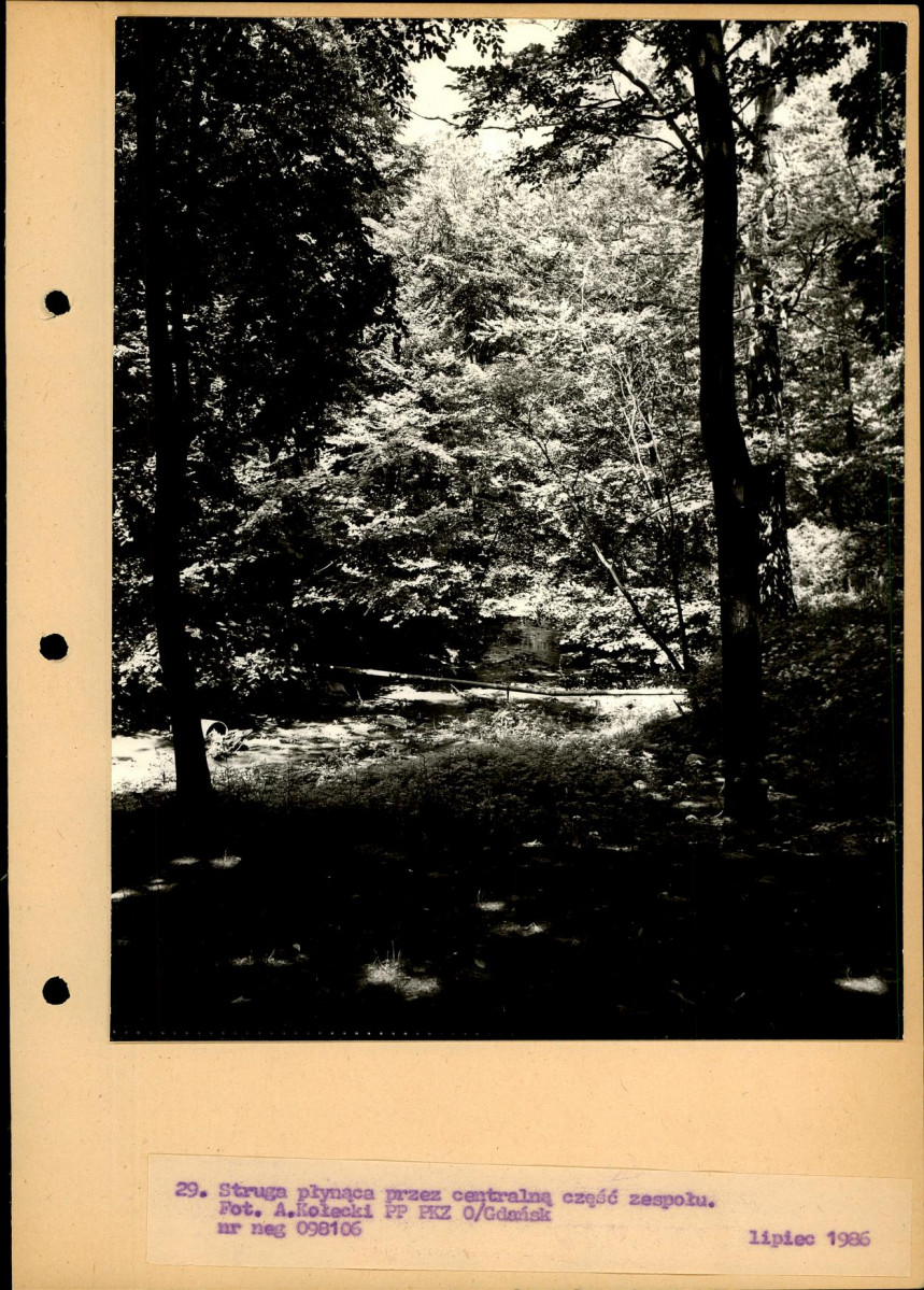 Ewidencja parkowa, skan nr 56