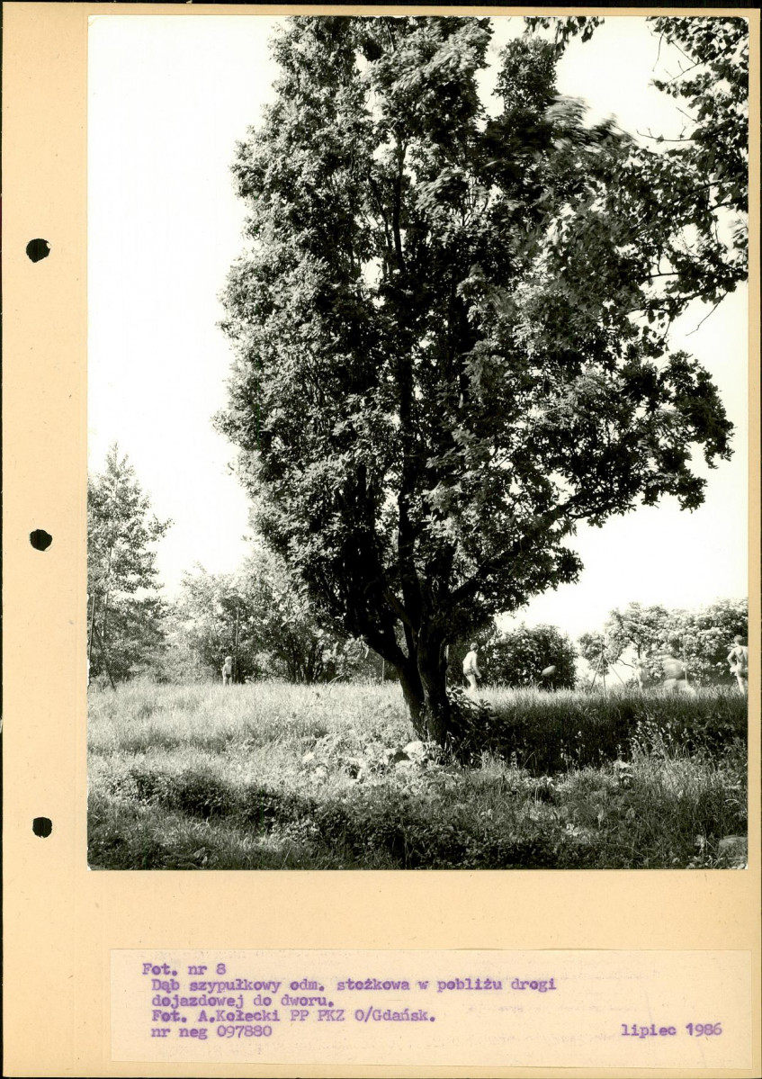Ewidencja parkowa, skan nr 41