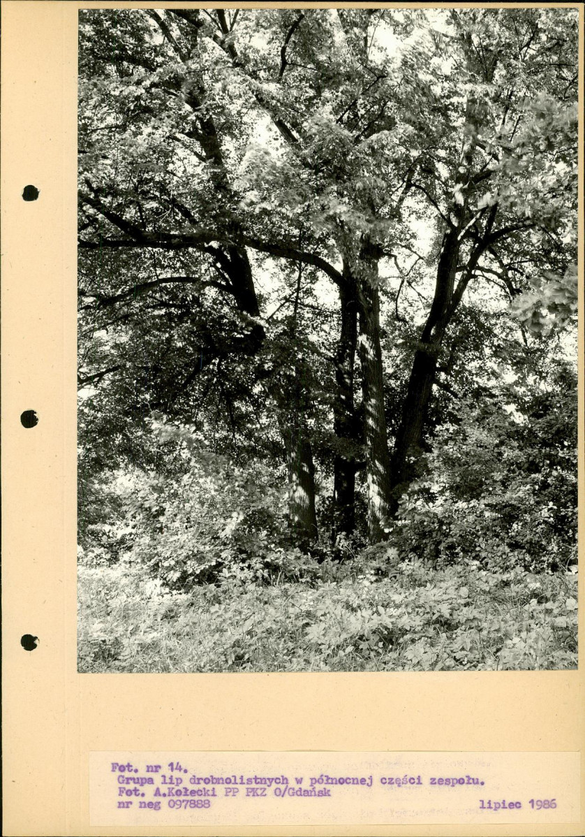 Ewidencja parkowa, skan nr 47