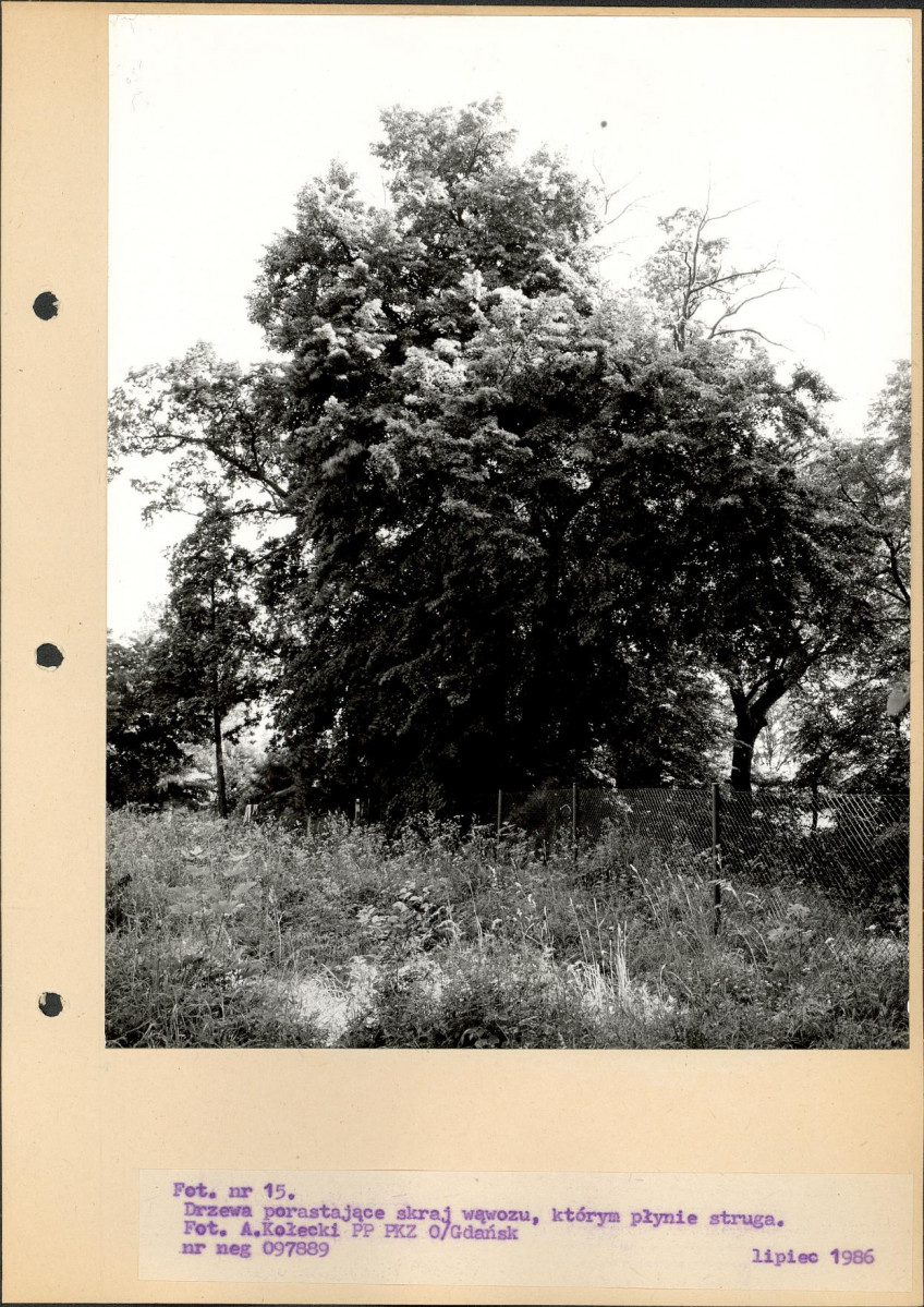 Ewidencja parkowa, skan nr 48