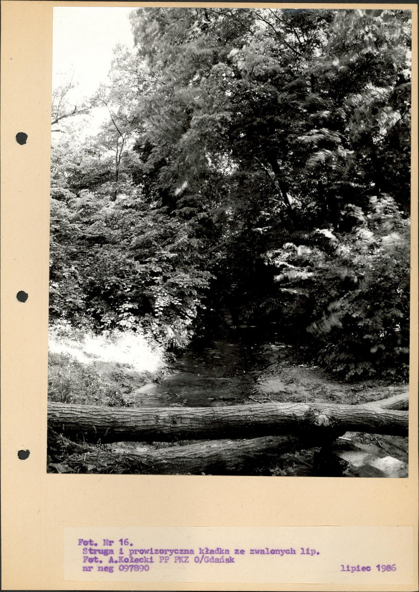Ewidencja parkowa, skan nr 49