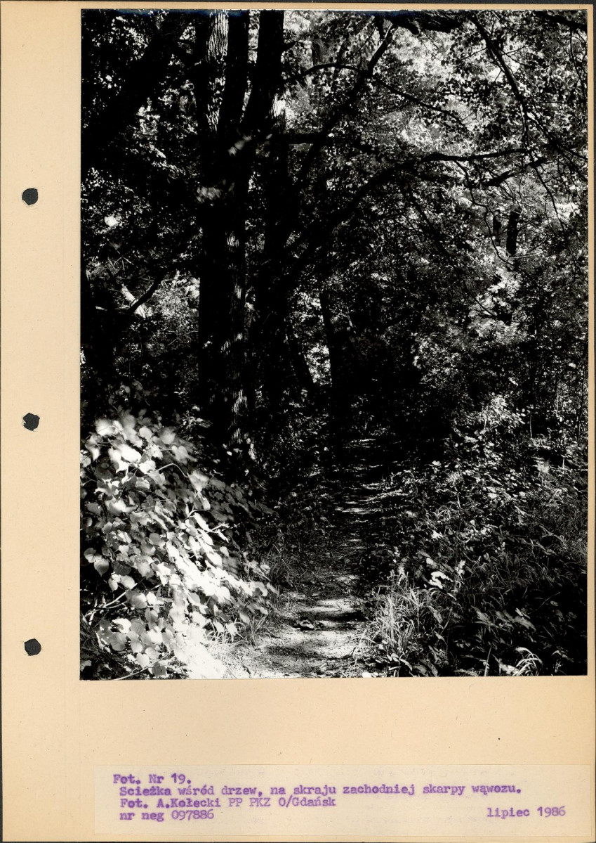Ewidencja parkowa, skan nr 52
