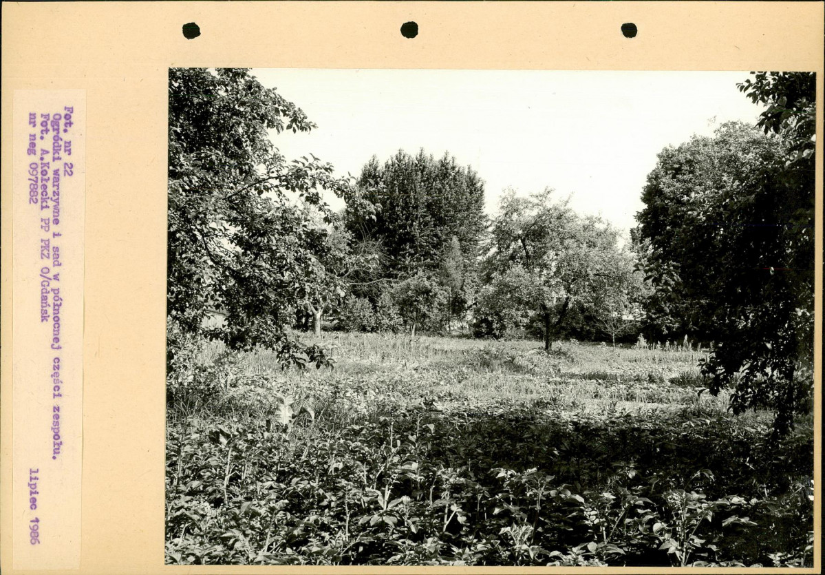 Ewidencja parkowa, skan nr 55