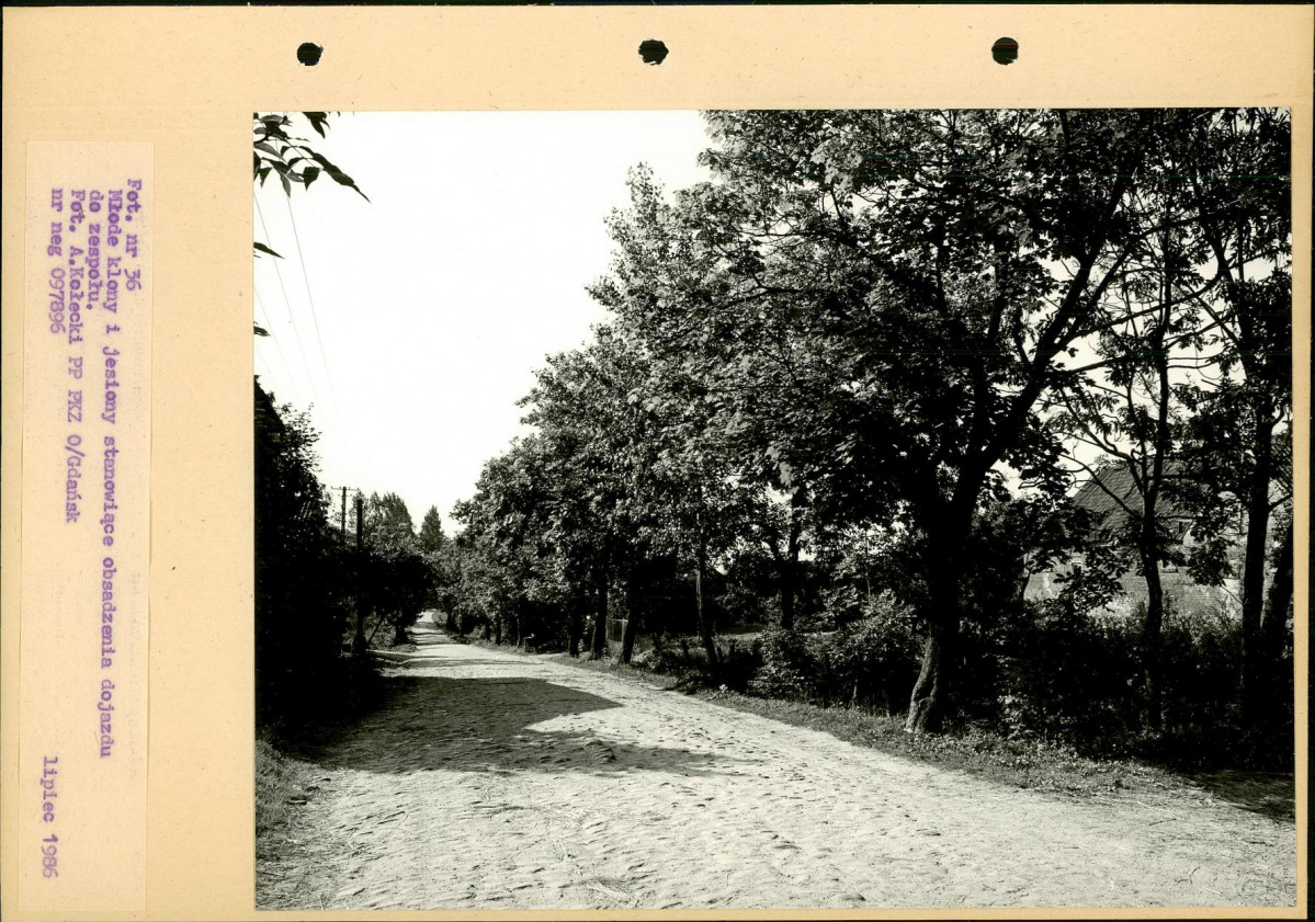 Ewidencja parkowa, skan nr 69