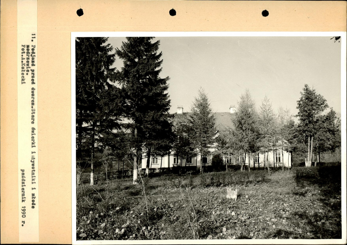 Ewidencja parkowa, skan nr 55