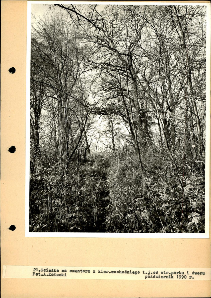 Ewidencja parkowa, skan nr 65