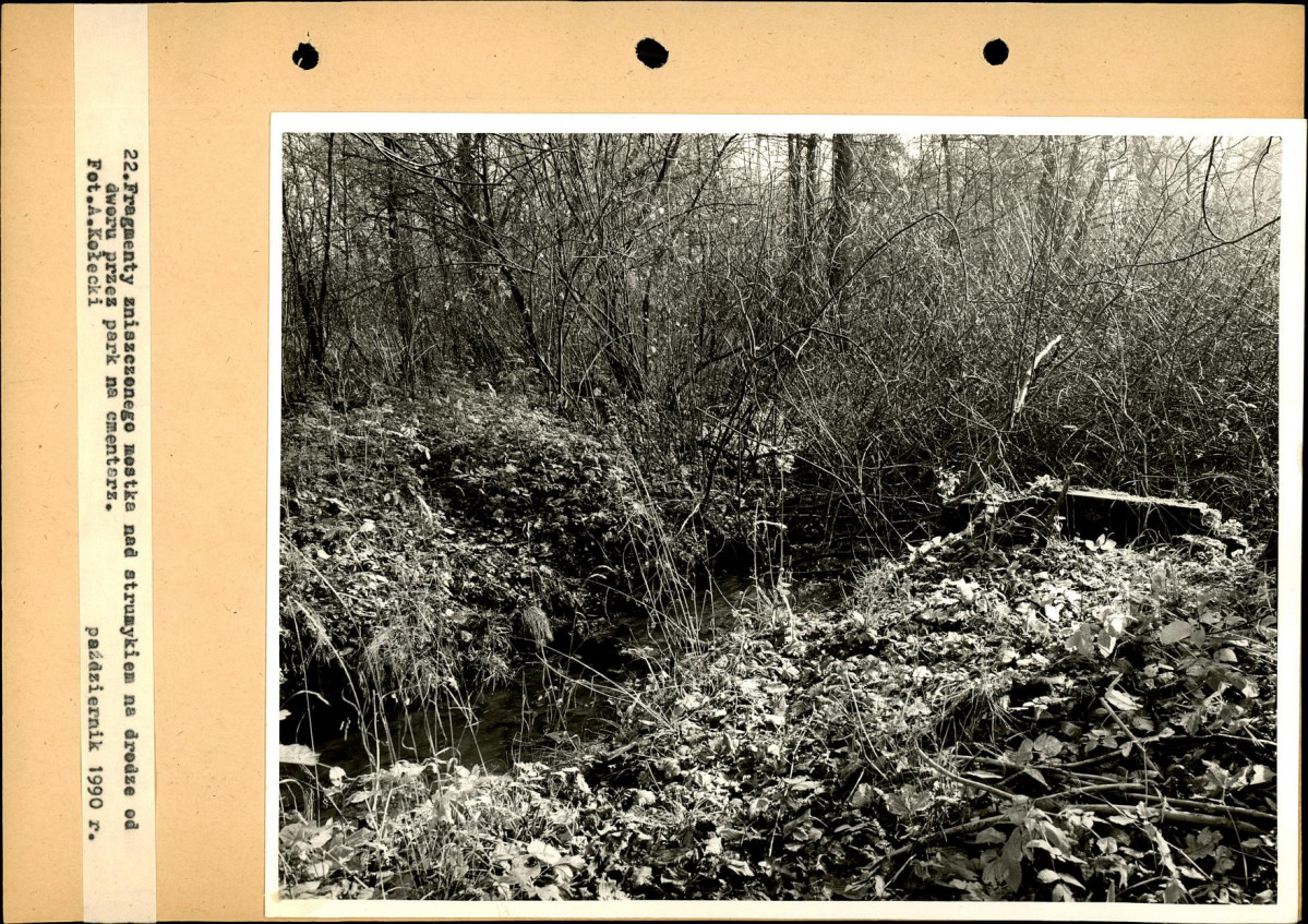 Ewidencja parkowa, skan nr 66