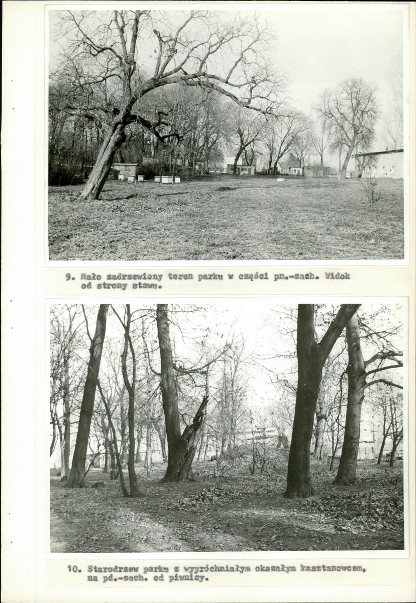 Ewidencja parkowa, skan nr 31