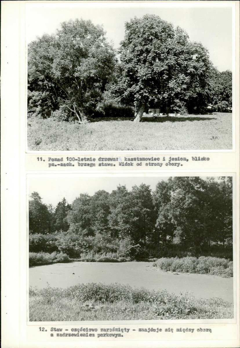 Ewidencja parkowa, skan nr 32