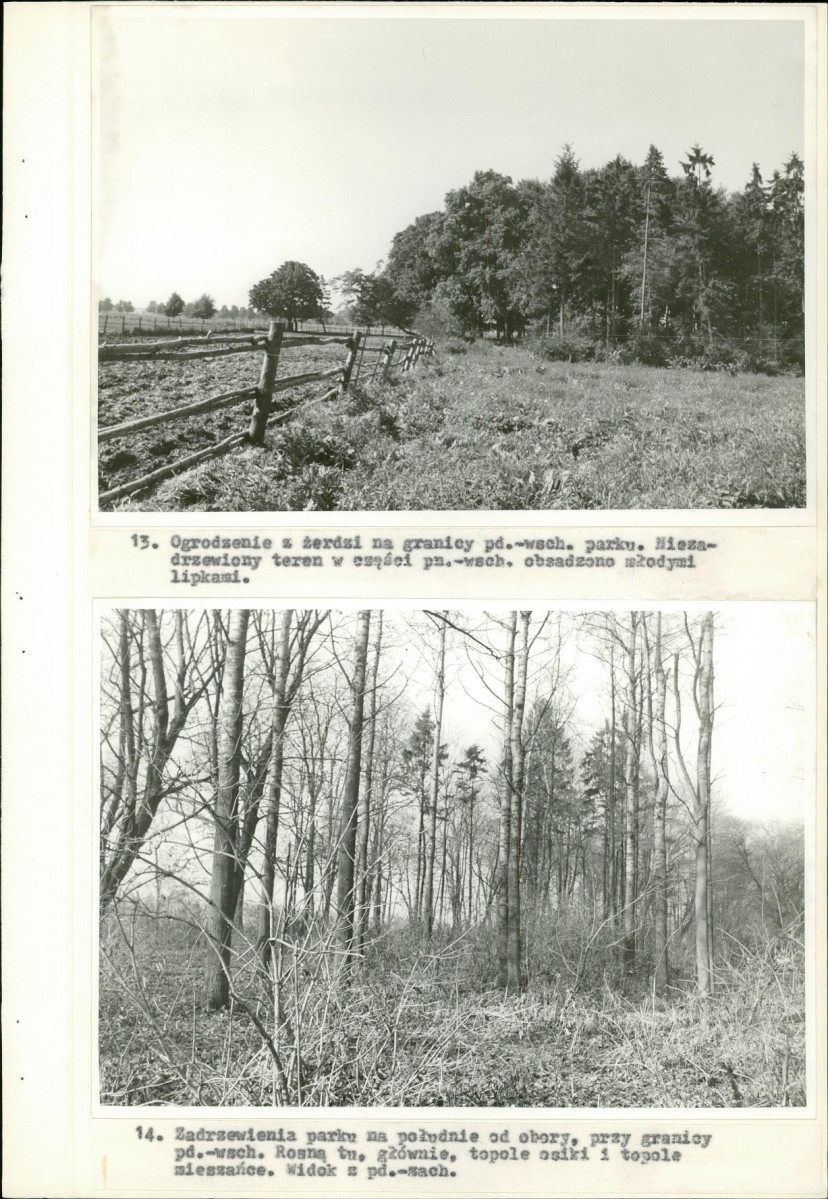 Ewidencja parkowa, skan nr 33