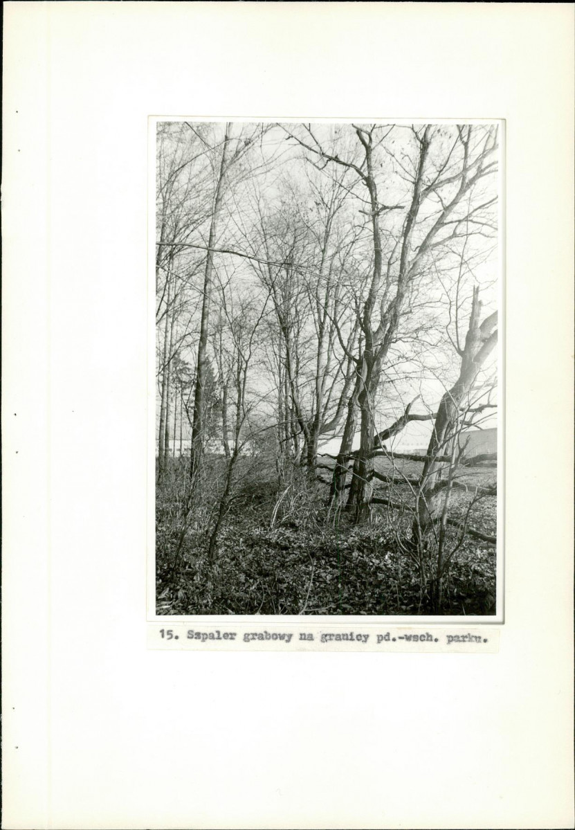 Ewidencja parkowa, skan nr 34