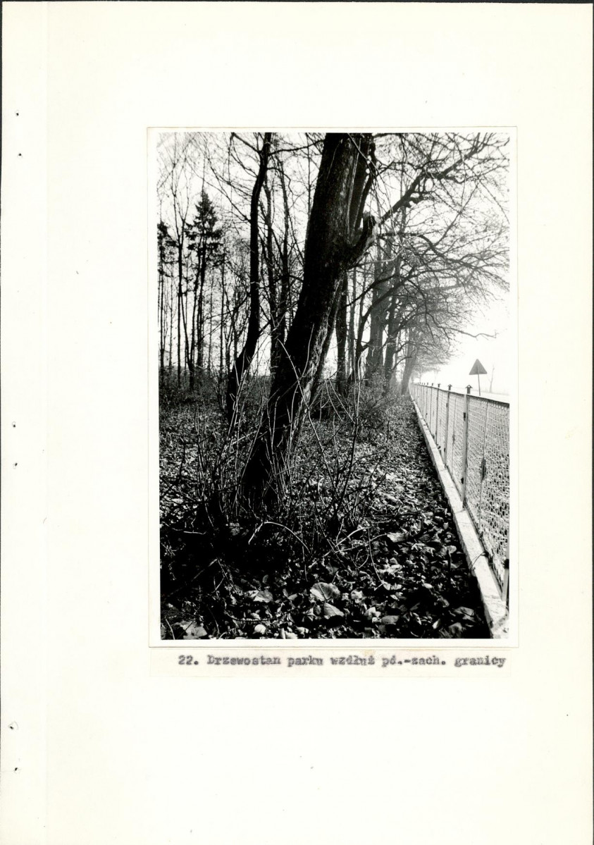 Ewidencja parkowa, skan nr 39