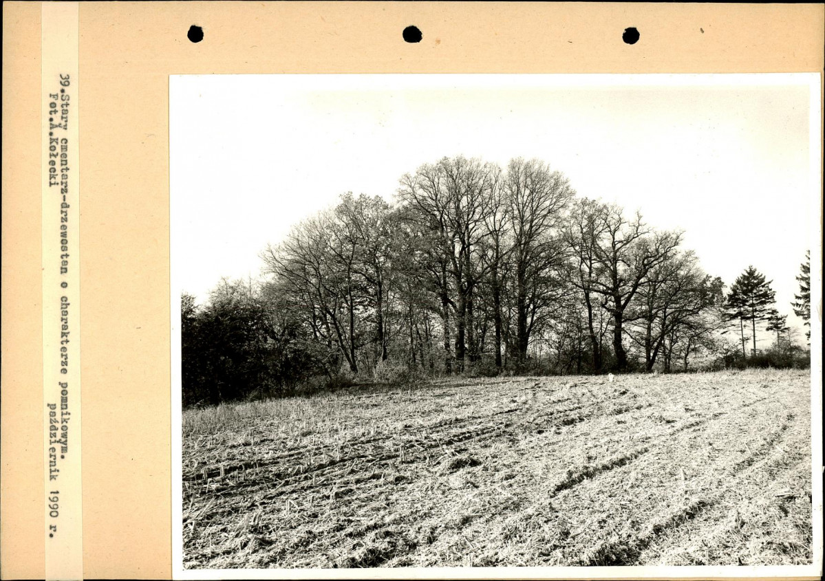 Ewidencja parkowa, skan nr 85