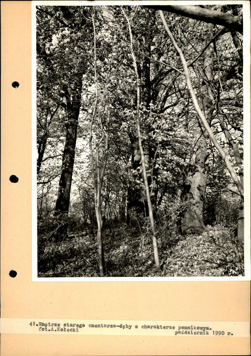Ewidencja parkowa, skan nr 87