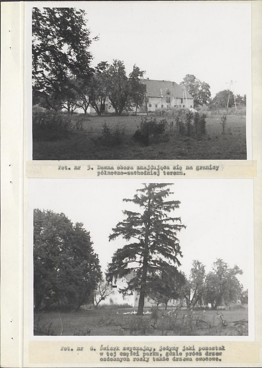 Ewidencja parkowa, skan nr 29