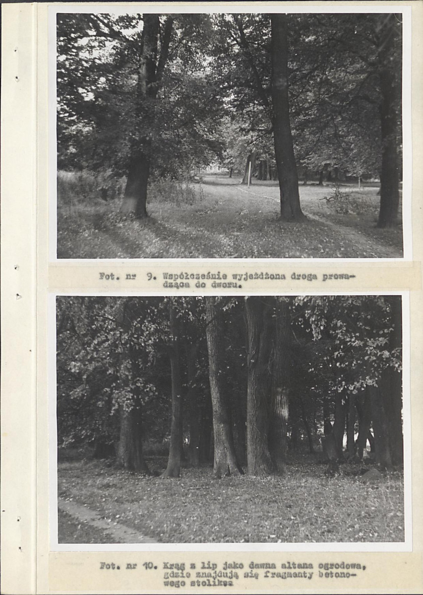Ewidencja parkowa, skan nr 31
