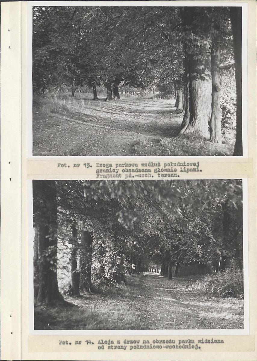 Ewidencja parkowa, skan nr 33