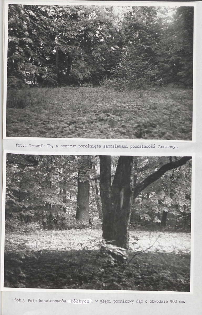 Ewidencja parkowa, skan nr 45