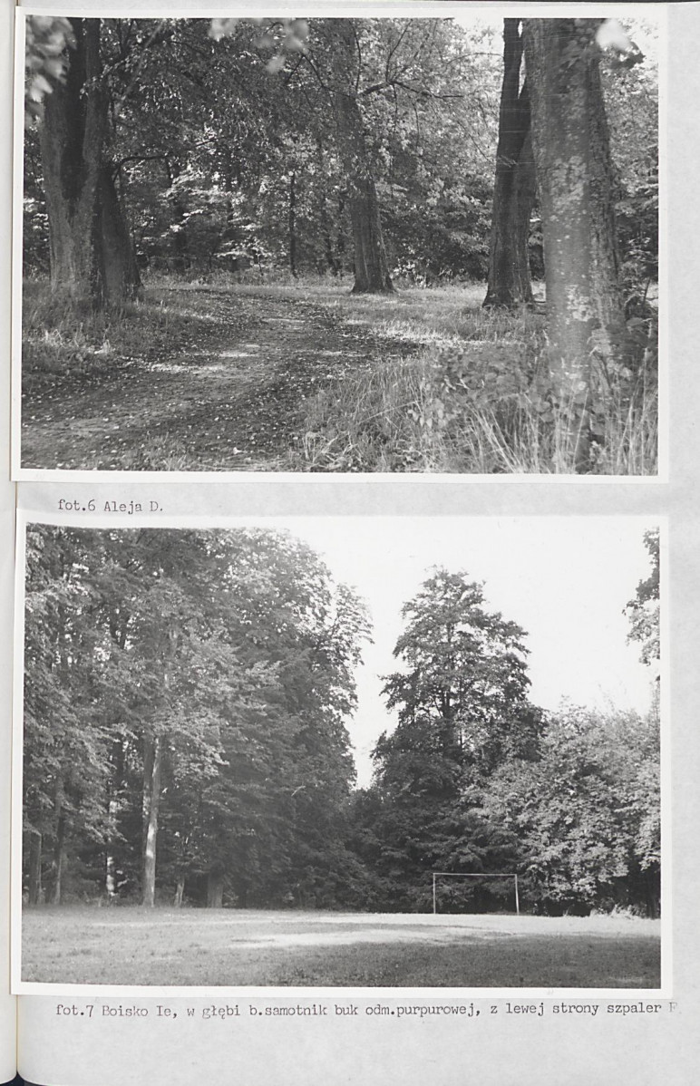 Ewidencja parkowa, skan nr 46