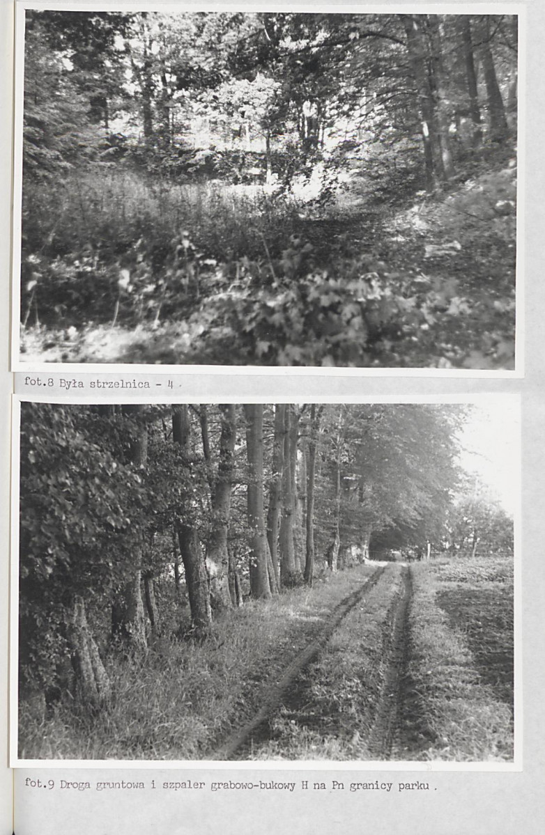 Ewidencja parkowa, skan nr 47