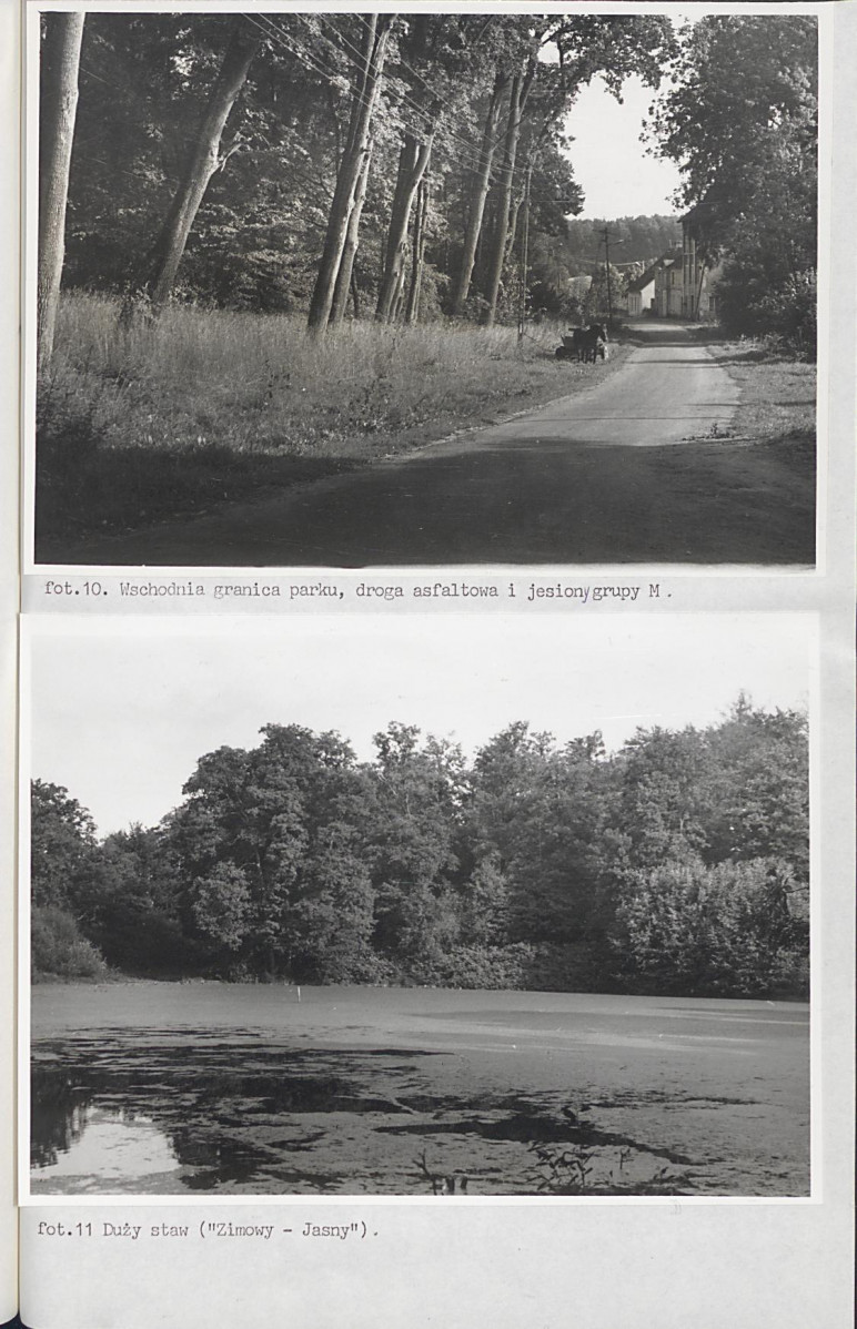 Ewidencja parkowa, skan nr 48