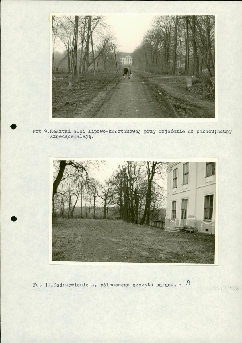 Ewidencja parkowa, skan nr 76