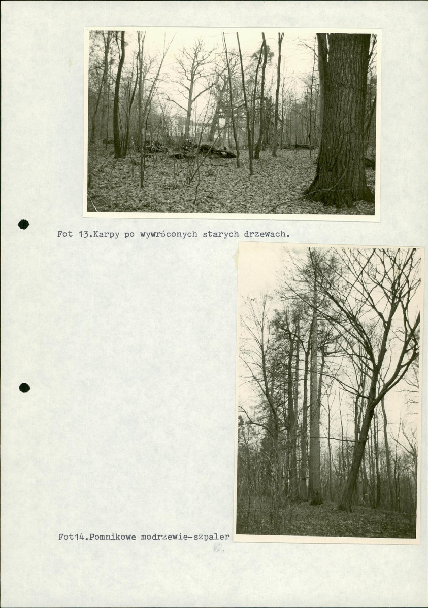 Ewidencja parkowa, skan nr 78