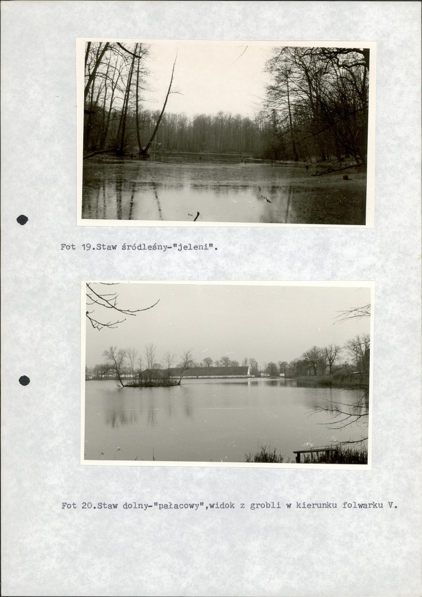 Ewidencja parkowa, skan nr 81